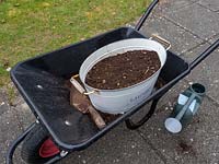 Use old containers to plant a wild flower garden.  Old  container full of compost ready to plant with wildflower seeds. The container is resting in a wheelbarrow