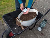 Use old containers to plant a wild flower garden.  Planting wildflower seeds in an old container resting in a wheelbarrow