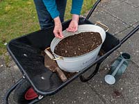 Use old containers to plant a wild flower garden.  Sewing wildflower seeds in an old container that is resting in a wheelbarrow