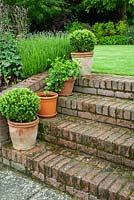 Brick steps leading to lawn with planted pots on each step - Open Gardens Day, Coddenham, Suffolk