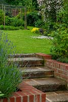 Steps edged with Lavender and Roses leading to lawn with shrub borders, fruit cage and greenhouse beyond - Open Gardens Day, Coddenham, Suffolk