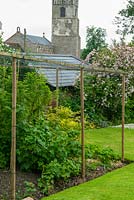 Fruit cage containing Strawberry plants, Blackcurrant bushes and Redcurrant bushes with lawn and flowering Deutzia shrub beyond - Open Gardens Day, Coddenham, Suffolk