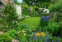 Small cottage garden with lawn and colourful border planting of perennials and Rose 'Open Arms' on metal arch - Open Gardens Day, Coddenham, Suffolk