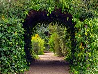 Arch above gravel path covered with several varieties of ivy 