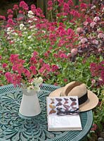 Centranyhus ruber - Red Valerian around table with insect book on table