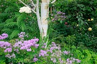 Thalictrum aquilegiifolium and betula, June
