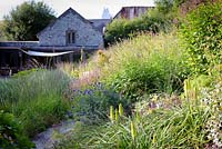 Herbaceous perennials and grasses including Kniphofia 'Percy's Pride', Persicaria amplexicaulis 'Rosea', Eryngium giganteum and Echinops ritro 'Veitch's Blue' in densely planted borders at Am Brook Meadow, Devon in August