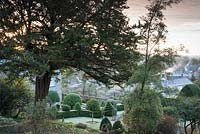An old yew spreads its branches over the formal garden at the Old Rectory, Netherbury, UK, framing clipped box, pleached limes and umbrella Portugese laurels.