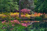 Refections of Azaleas and Rhododendrons on the water - Stody Lodge Gardens, Norfolk 