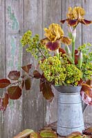 Floral arrangement in metal jug - Iris germanica 'Supreme Sultans', Euphorbia and Fagus sylvativa 'Atropurpurea Group'