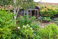 View across garden to studio and group of Betula - Birch trees