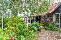 View across garden to studio and group of Betula - Birch trees