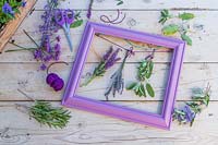 Purple frame with bunches of flowers and drying herbs