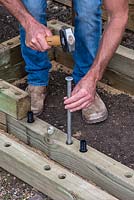 Man building timber raised bed: Inserting metal stakes into the ground for additional stability for the structure.