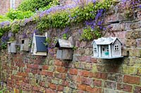 A row of ornamental bird-boxes including 'gothic' and 'swiss chalet' on one of the weathered brick walls. Campanula poscharskyana scrambles along the top of the wall.