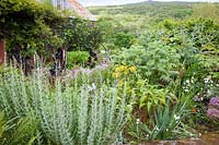 Summer planting including Perovskia, Actaea, Ferns, Geranium, Wild Parsnip, Globe Artichoke and Aeonium - Dyffryn Fernant, Wales