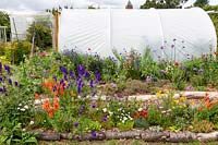 Overview of allotment with cut flowers