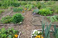 Plot for growing vegetables, fruit and flowers, showing layout of beds with branches and paths with shredded woodchip 