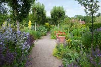 Dramatic summer displays in The Flower Garden, Loseley Park, Surrey, UK. 