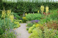 Colourful summer displays in The Flower Garden including verbascum, geranium, crocosmia, alchemilla mollis and pleached trees, Loseley Park, Surrey