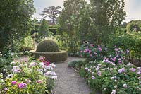 Formal Rose Garden with clipped topiary at centre of gravel path