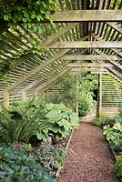 The Shade House at Bourton House planted with shade-loving plants such as ferns, podophyllums and begonias.