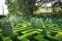 Knot Garden with clipped box hedging and variegated box pyramids at Bourton House, Gloucestershire, UK.
