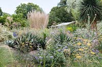 View across Garden of Pan Global Plants, July.