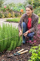 Woman adding string to bamboo stick to guide the cutting height. 