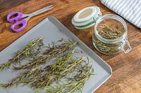 Salvia rosmarinus syn. Rosmarinus officinalis - Rosemary - sprigs on baking tray after drying in the oven