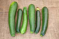 Courgette fruit on hessian 