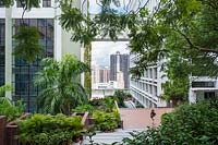 Looking down the Sun Yat-sen Steps within the university campus with the library on the right, and across into the high-rise buildings of Western District. Young woman walking with backpack in the foreground. University of Hong Kong.