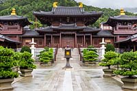 View of the Chi Lin Nunnery from the Lotus Pond courtyard, with clipped Buddhist pines, Podocarpus macrophyllus in the foreground. 