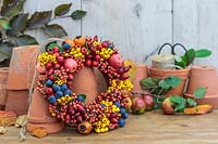 Autumnal berry wreath on wooden surface with terracotta pots - Prunus domestica subsp. insititia var. nigra - Bullace, Pyracantha, Malus 'evereste' - Crab apple, Rose Hips, Crataegus persimilis 'Prunifolia Splendens' - Hawthorn and Cotoneaster salicifolia