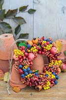 Autumnal berry wreath with terracotta pots - Prunus domestica subsp. insititia var. nigra - Bullace, Pyracantha, Malus 'evereste' - Crab apple, Rose Hips, Crataegus persimilis 'Prunifolia Splendens' - Hawthorn and Cotoneaster salicifolia