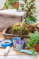 Tools and materials required to make a painted wooden planter