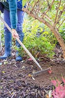 Woman using rake to level soil prior to building a hedgehog house