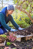 Woman adding bark and wood chipping to disguise roof of hedgehog house. 