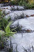 Stone garden pathway with Ophiopogon planiscapus in the Elements Mystique Garden, designed by  Elements Garden Design, Hampton Court Flower Show, 2018. 