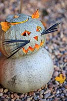 Pumpkin cat made with Pumpkin 'Crown prince' and Beech leaf ears and Ophipogon whiskers.
