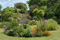 Colourful back garden with mixed borders including Allium gigantum, Foxglove, Angelica, Erisyium, Poppy, Oat Grass, and Acer palmatum 'Sango-kaku'