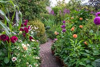 A herringbone pattern brick path leads between pots of Chrysanthemum tricolor, dahlias, shasta daisies, cosmos, and sanguisorba, towards border with clumps of tall purple loosestrife.