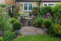 In small town garden, view back to patio by house clad in Clematis 'Madame Julia Correvon', and shelving with pots of nemesias or surfinias. RH bed planted with peonies, roses, alliums and yellow loosestrife.  In pots, small-leaved hollies,  Ilex crenata 'Kinme'.