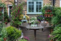 House wall clad in Clematis 'Madame Julia Correvon'. Beside dining area, shelving with pots of nemesias or surfinias.