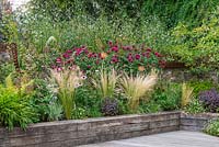 Raised beds planted with sun-loving, wildlife-friendly perennials and grasses in London garden.

