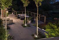 Middle deck at night, with lights illuminating the trunks of four ornamental pear trees 'Chanticleer'. 