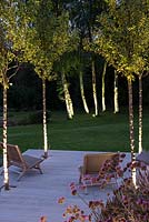 View between trunks of four 'Chanticleer' ornamental pear trees planted on lowest deck, out to spinney of silver birches planted in lawn.