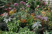Late summer border in flower, with Ricinis, Crocosmia, lilies, dahlias and helenium. 