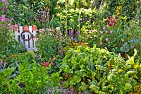 Summer flowers growing around crops in fenced vegetable garden.