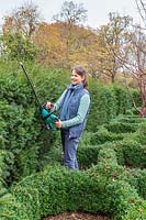 Woman using a battery powered hedge trimmer to cut Taxus - Yew hedge